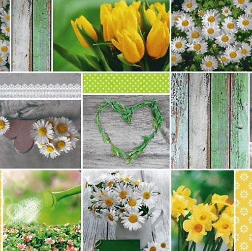 Wachstuch Rolle Meterware Rollenware B6004-01 Osterglocke Narzissen Ostern