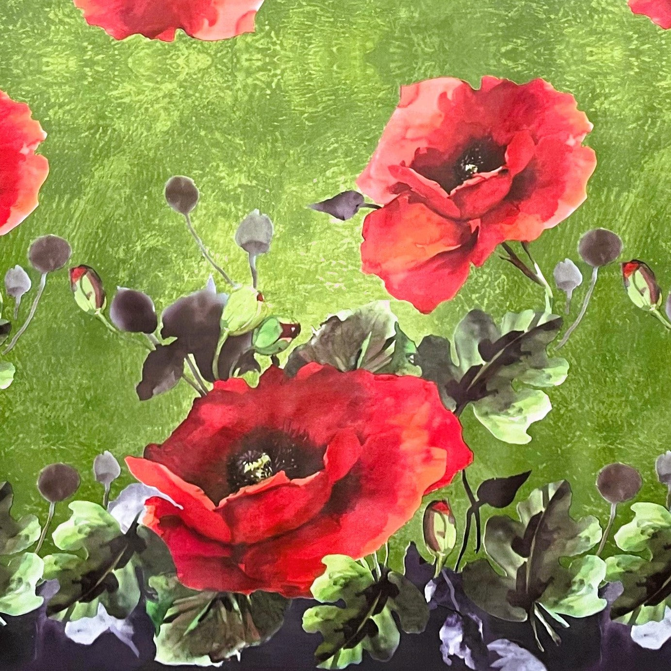 Wachstuch Tischdecke Mohn Bordürenmuster