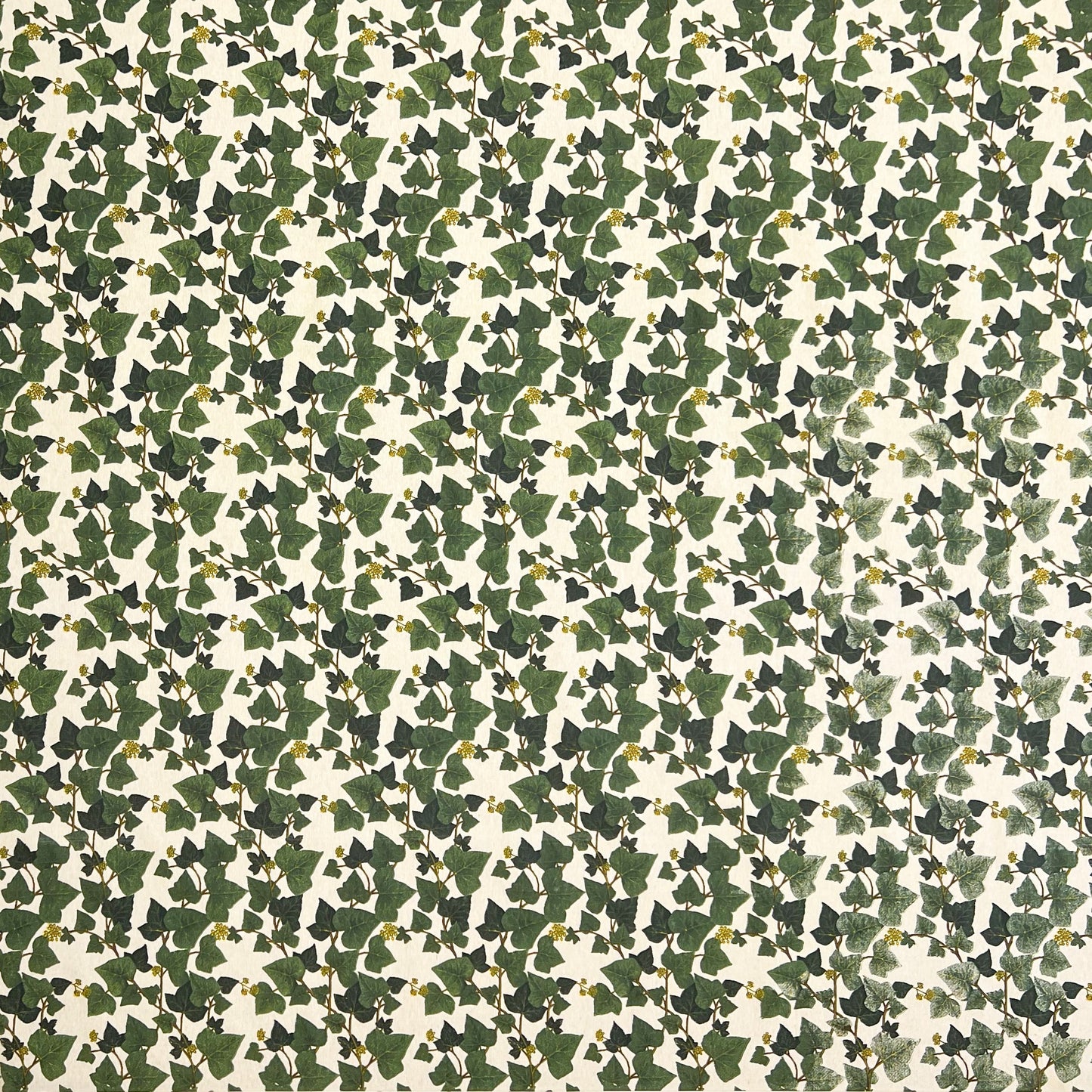 textile Baumwolltischdecke Efeu