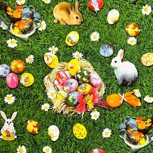 Wachstuch Rolle Meterware Rollenware P764-1 Ostern Ostereier Osterhase