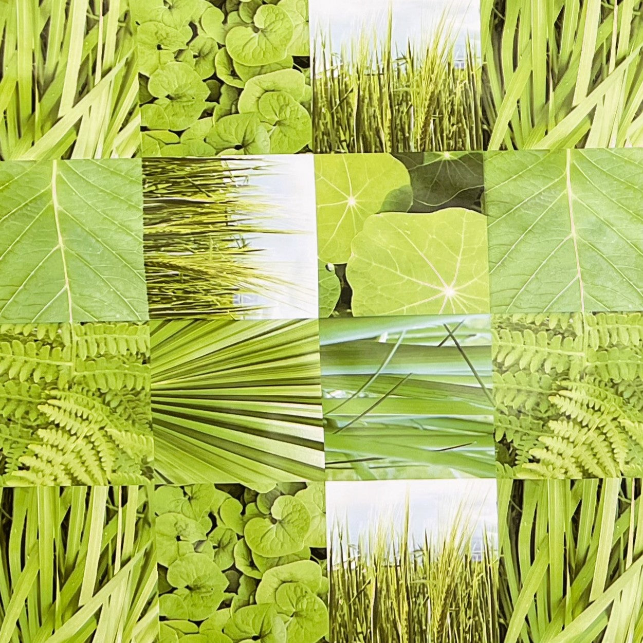 abwaschbare Wachstuch Tischdecke eckig rund oval Gras Wiese Farne Blätter Dschungel eckig rund oval kaufen