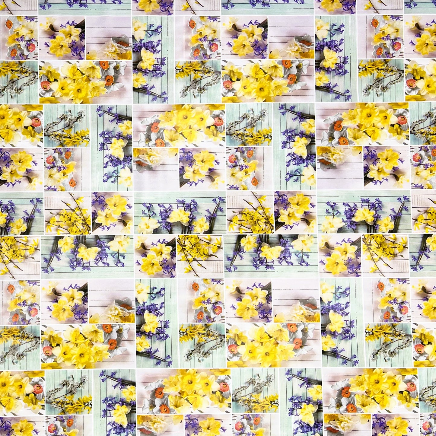 abwaschbare Wachstuch Tischdecke eckig rund oval wachstuchshop24 kaufen Frühjahr Ostern Narzissen Blumen