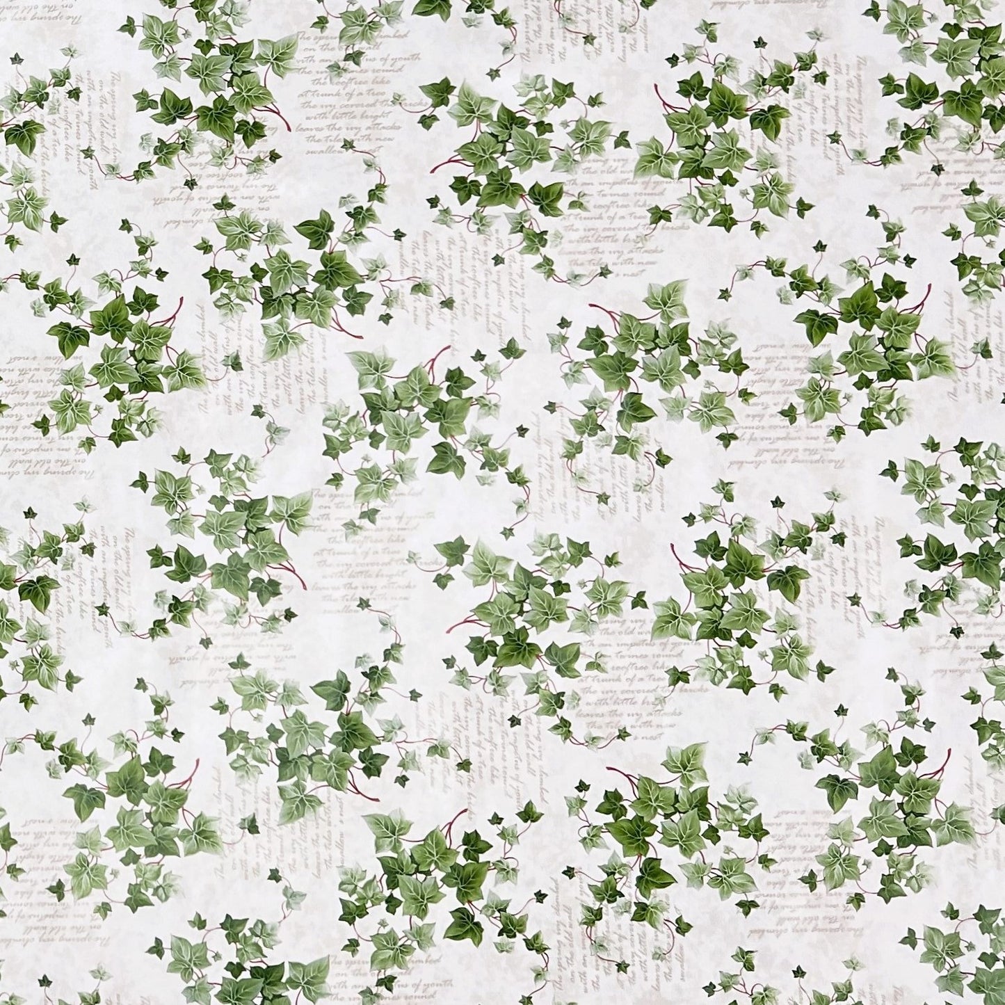 Nappe toile cirée B8965-01 feuilles de lierre carrée ronde ovale
