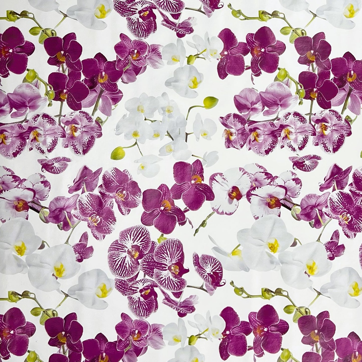 Wachstuch Tischdecke B8990-01 Orchideen Blüten auf weiss eckig rund oval
