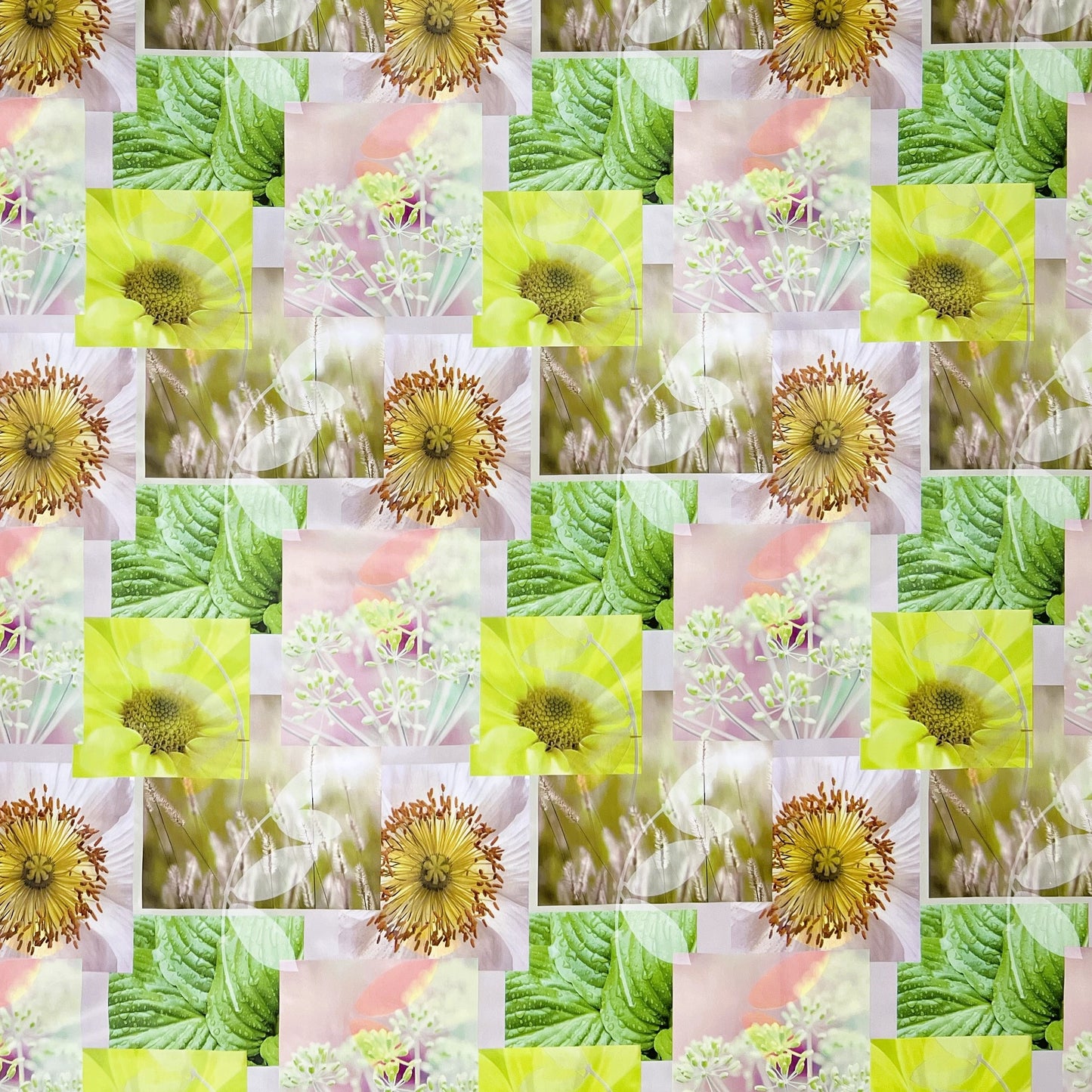 Nappe toile cirée BB40 fleurs de pissenlit patchwork carrée ronde ovale