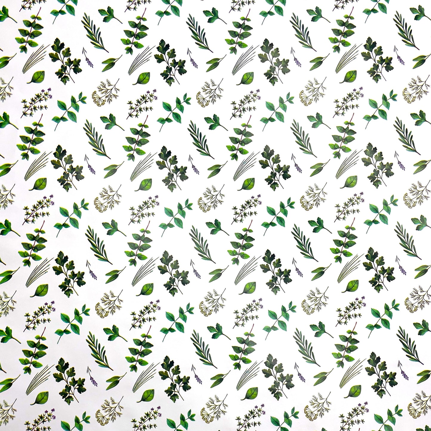 Wachstuch Tischdecke K150158 Blumen Blüten Kräuter eckig rund oval