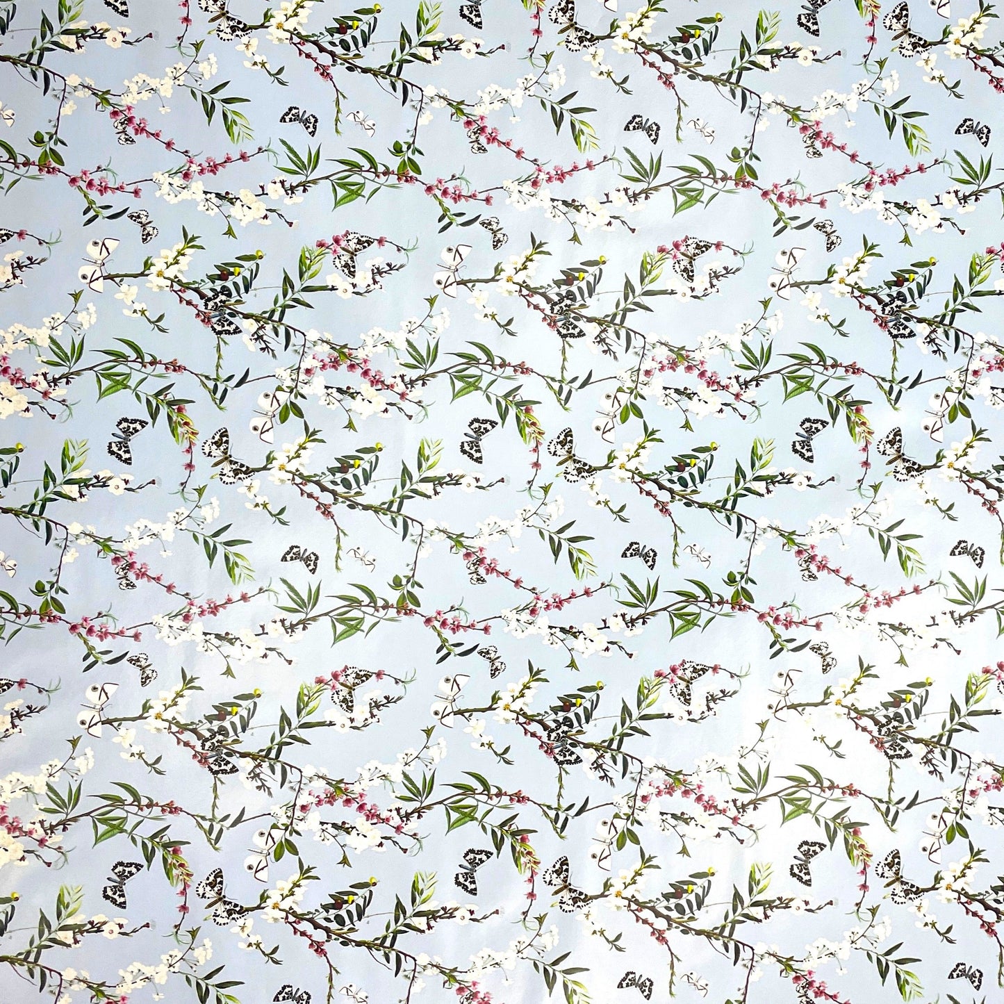 Nappe en toile cirée K150206 fleurs colorées et papillons sur fond bleu clair carré rond ovale