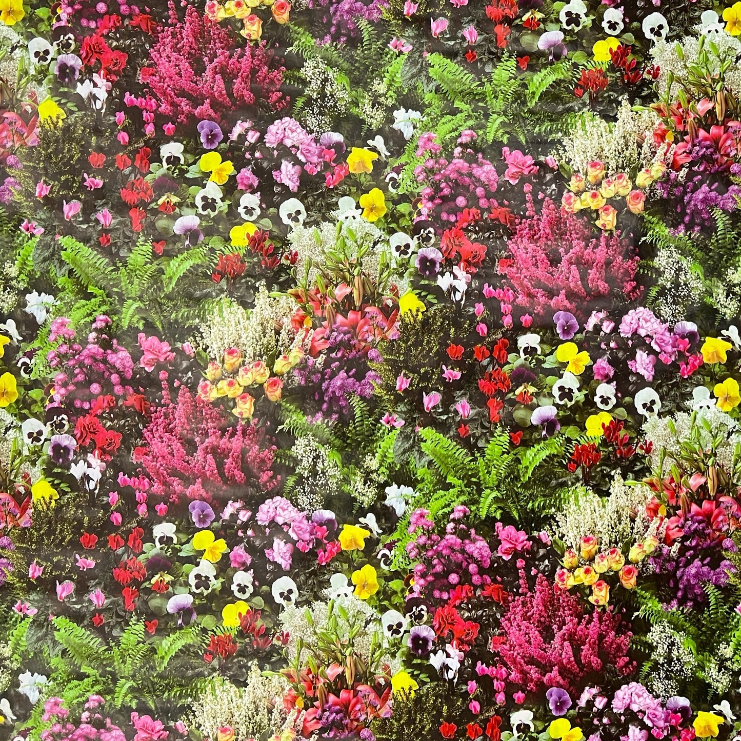 Nappe toile cirée KEVKUS W270 fleurs prairie pensées carrée ronde ovale