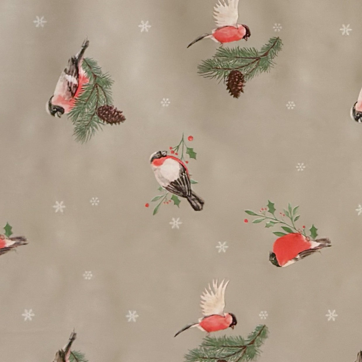 Wachstuch Tischdecke Rothkehlchen Winter Weihnachten