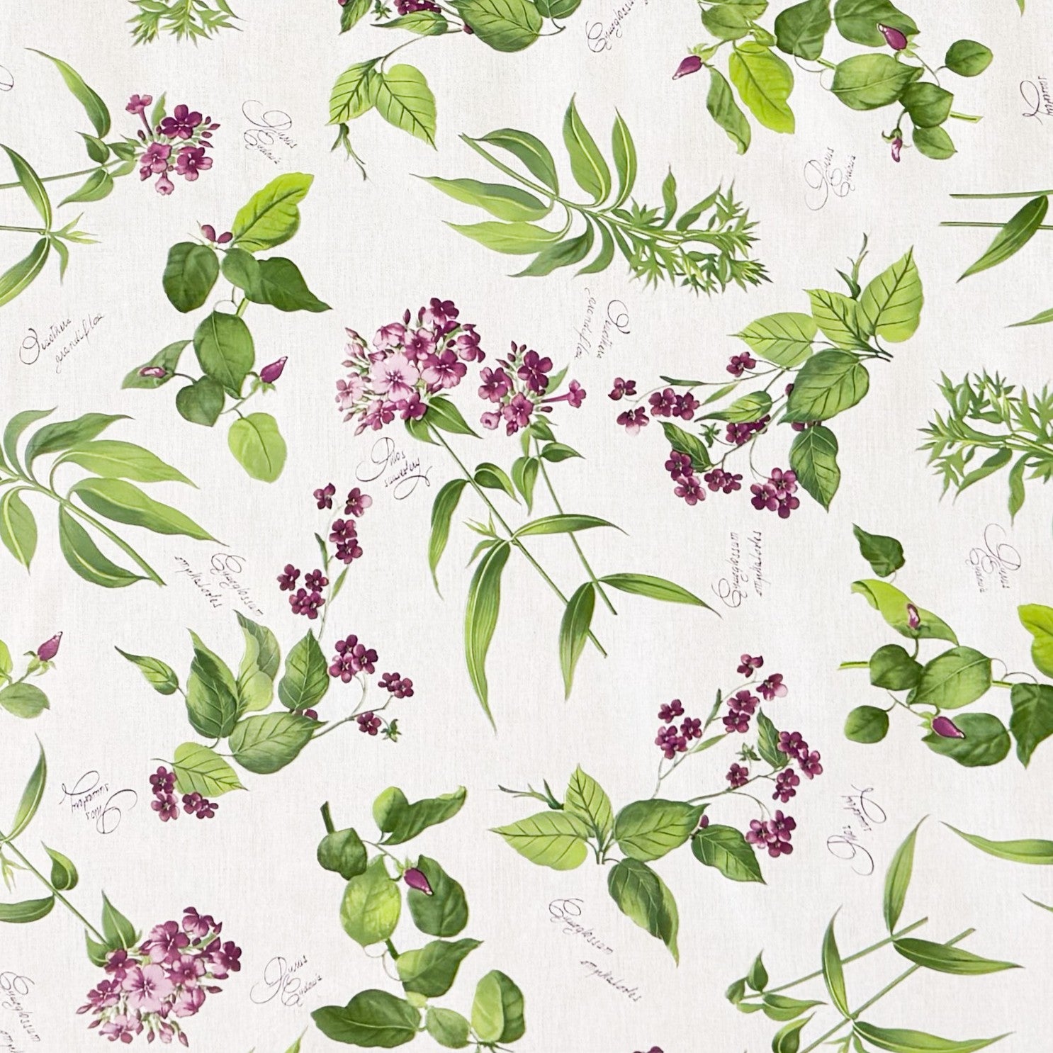 Wachstuch Tischdecke Küchenkräuter