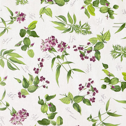 Wachstuch Tischdecke Küchenkräuter