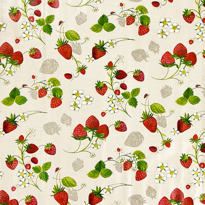 Wachstuch Tischdecke C141791 Erdbeeren Früchte Sommer Küchenmotiv eckig rund oval