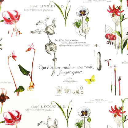 Wachstuch Tischdecke Blumen und Blüten Botanik