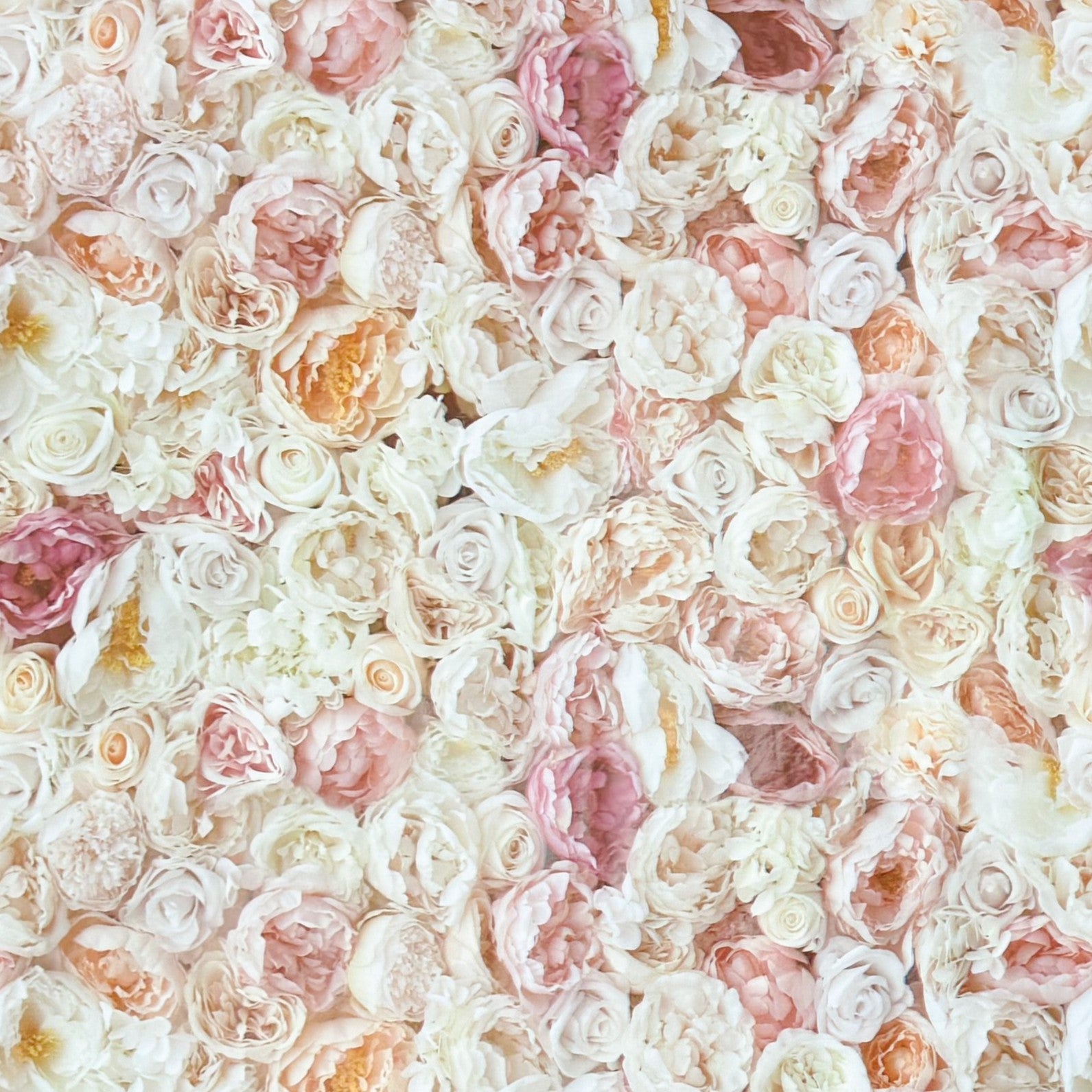 Wachstuch Tischdecke Rosenblüten