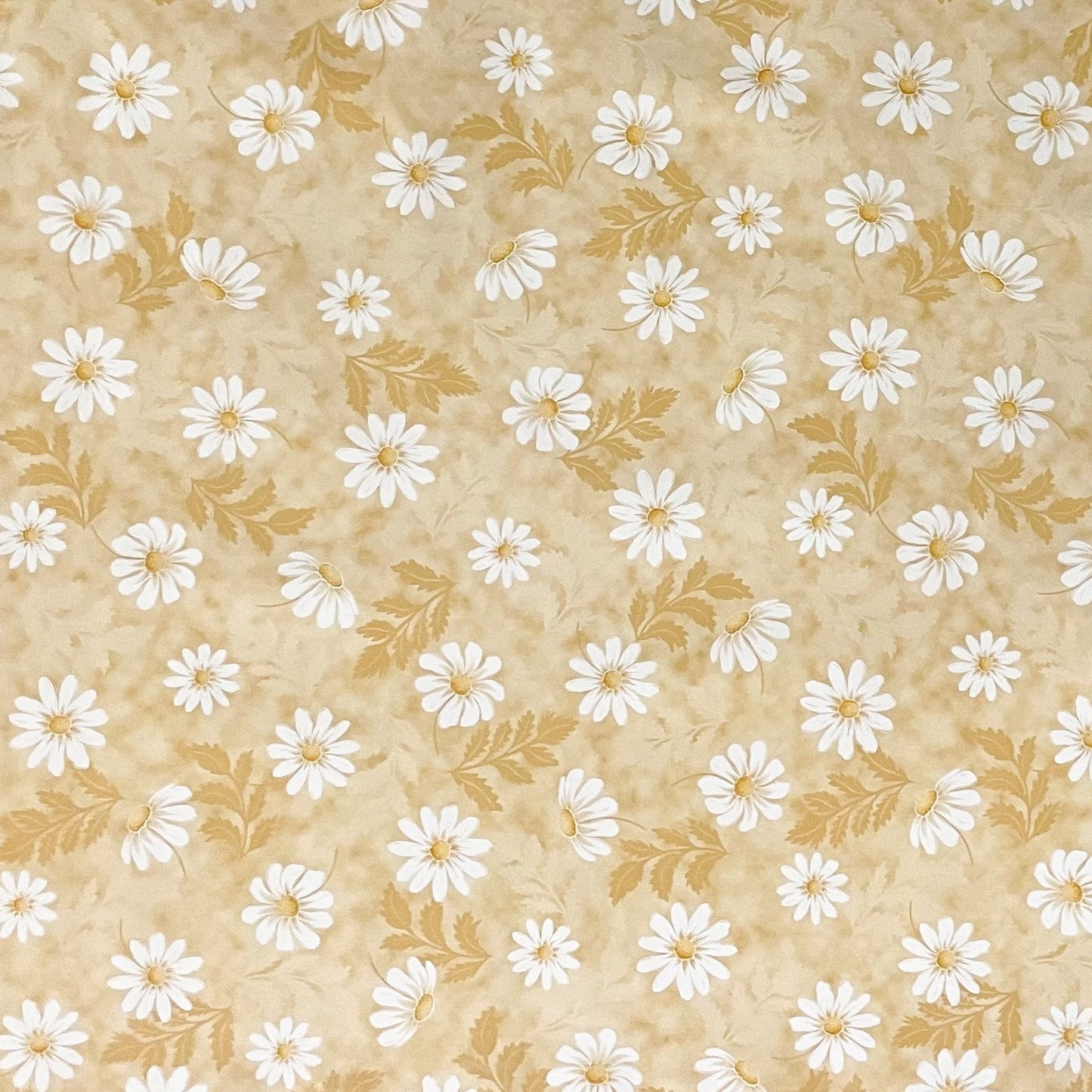 Wachstuch Tischdecke beige Margeriten Blumen Blüten